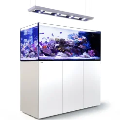 Redsea Saltvandakvarium Peninsula P650 Deluxe Hvid