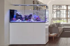 Redsea Saltvandakvarium Peninsula P650 Deluxe Hvid