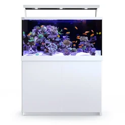 Red Sea MAX S-500 Liter Hvid G2