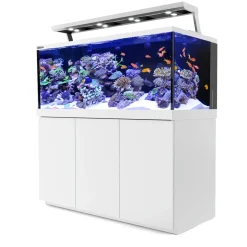 Red Sea MAX S-650 Liter Hvid G2