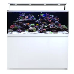 Red Sea MAX S-650 Liter Hvid G2