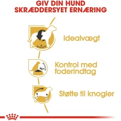 Royal Canin Beagle Adult 12 kg - tørfoder til voksne hunde