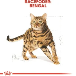 Royal Canin Bengal 2 kg Adult