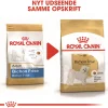 Royal Canin Bichon Frise Adult 1,5 kg - tørfoder til voksne hunde