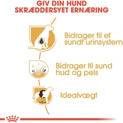 Royal Canin Bichon Frise Adult 1,5 kg - tørfoder til voksne hunde