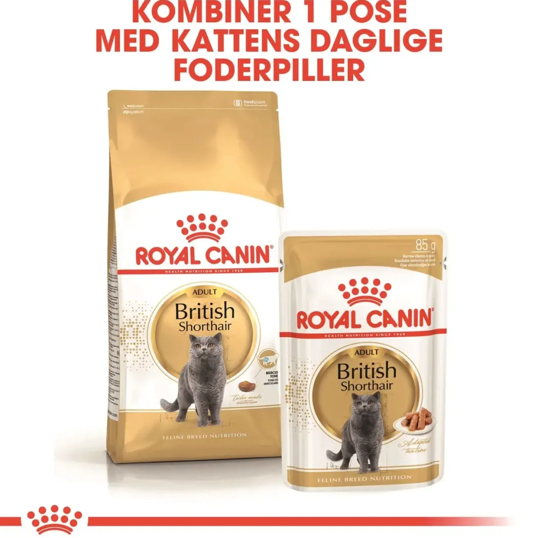 Royal Canin British shorthair 10 kg