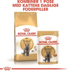 Royal Canin British shorthair 2 kg