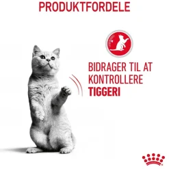 Royal Canin Care Appetite Control Gravy vådfoder 85 g