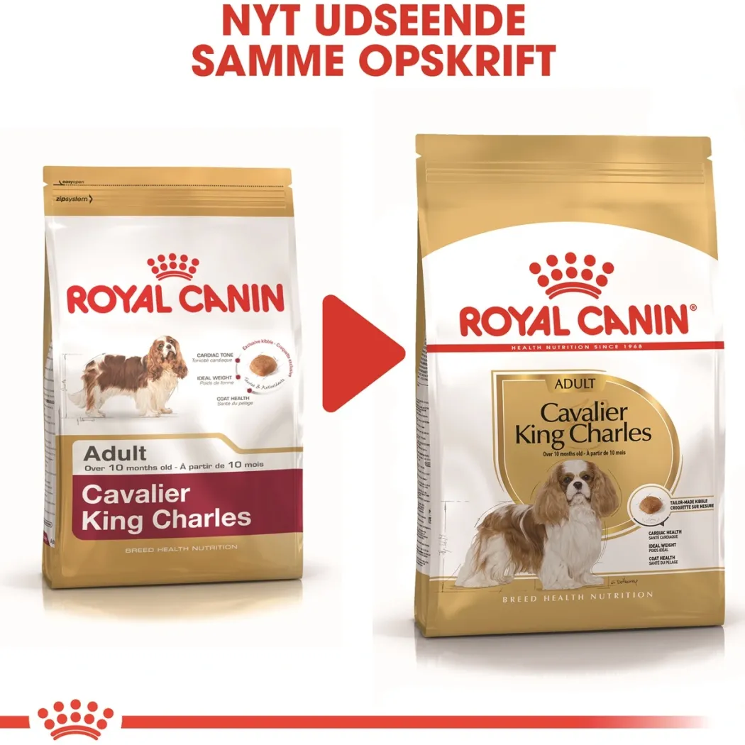 Royal Canin Cavalier King Charles Adult 1,5 kg - tørfoder til små hunde