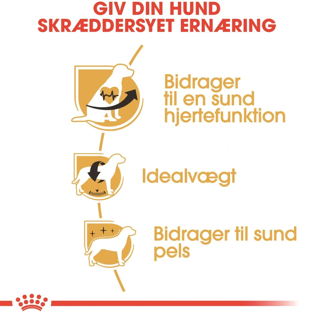 Royal Canin Cavalier King Charles Adult 7,5 kg - tørfoder til voksne hunde