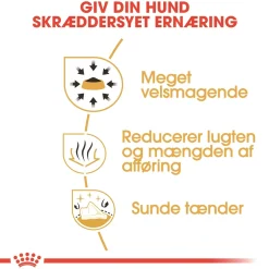 Royal Canin Chihuahua Adult 1,5 kg - tørfoder til små hunde