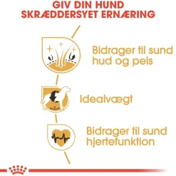 Royal Canin Cocker Spaniel Adult 12 kg - tørfoder til voksne hunde