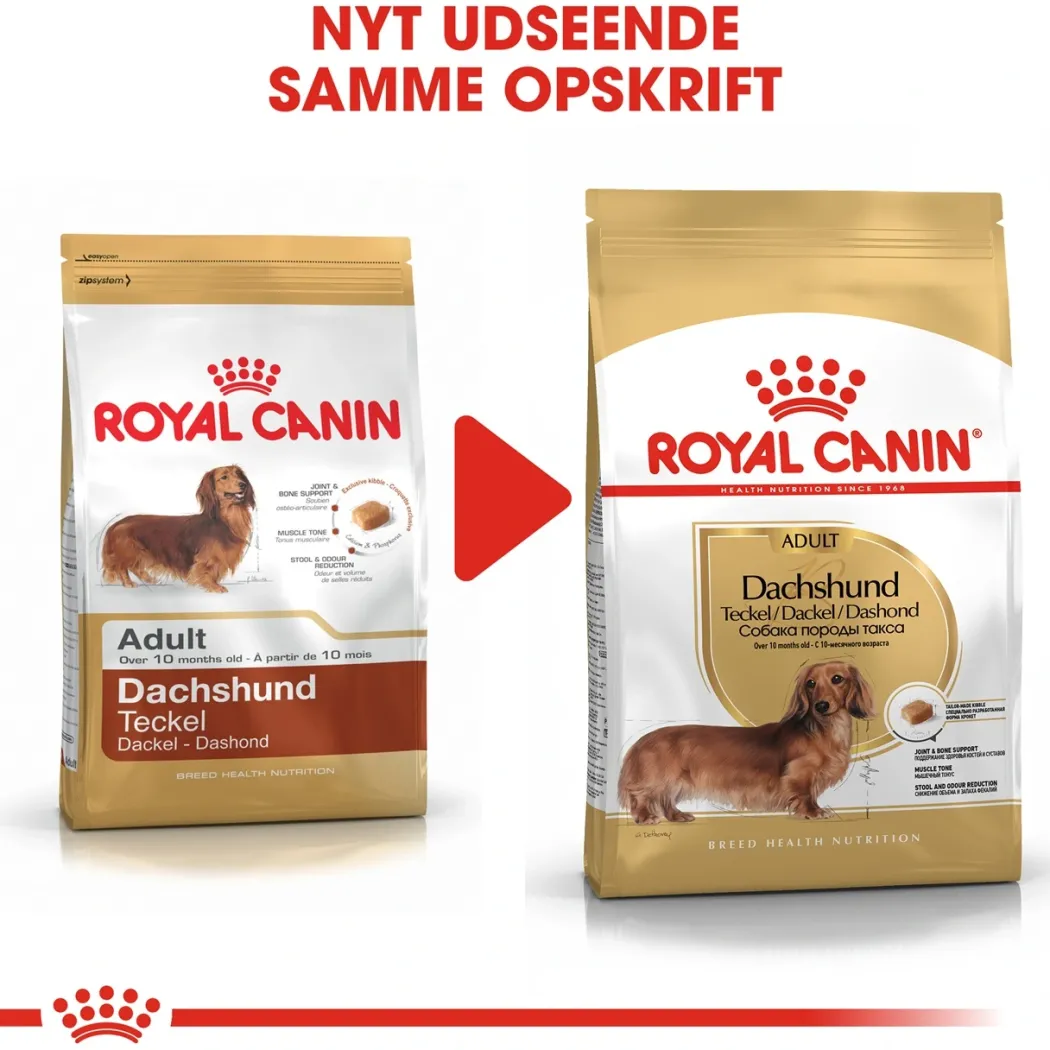 Royal Canin Dachshund Adult 1,5 kg - tørfoder til gravhunde