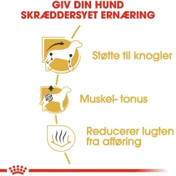 Royal Canin Dachshund Adult 7,5 kg - tørfoder til gravhunde