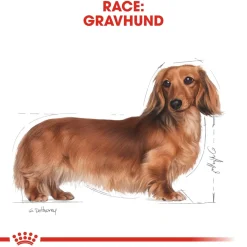 Royal Canin Dachshund Adult 7,5 kg - tørfoder til gravhunde