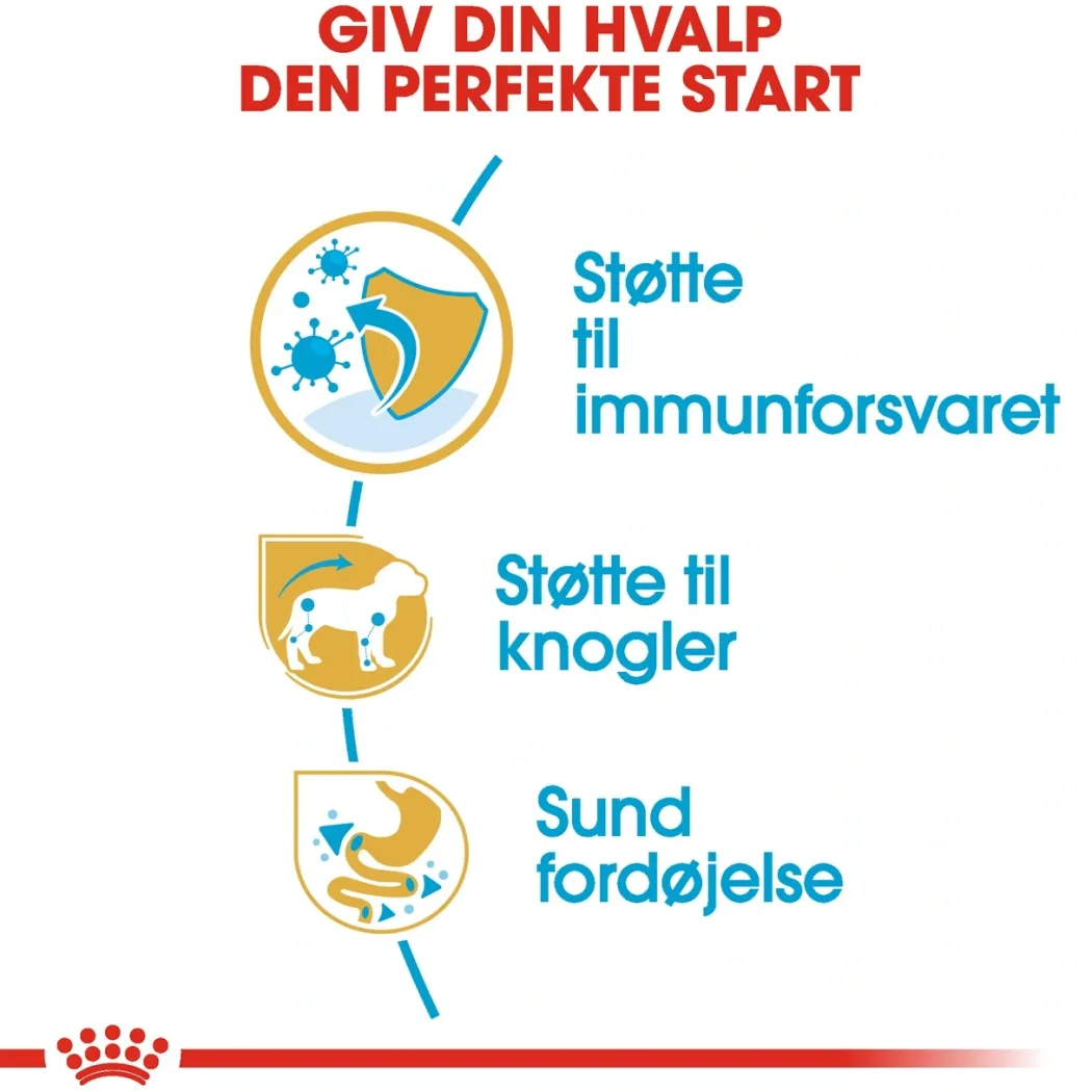 Royal Canin Dachshund Puppy 1,5 kg - tørfoder til Gravhund hvalpe