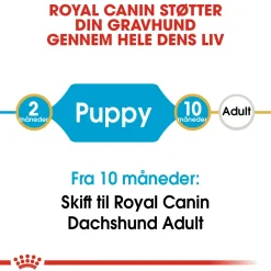 Royal Canin Dachshund Puppy 1,5 kg - tørfoder til Gravhund hvalpe