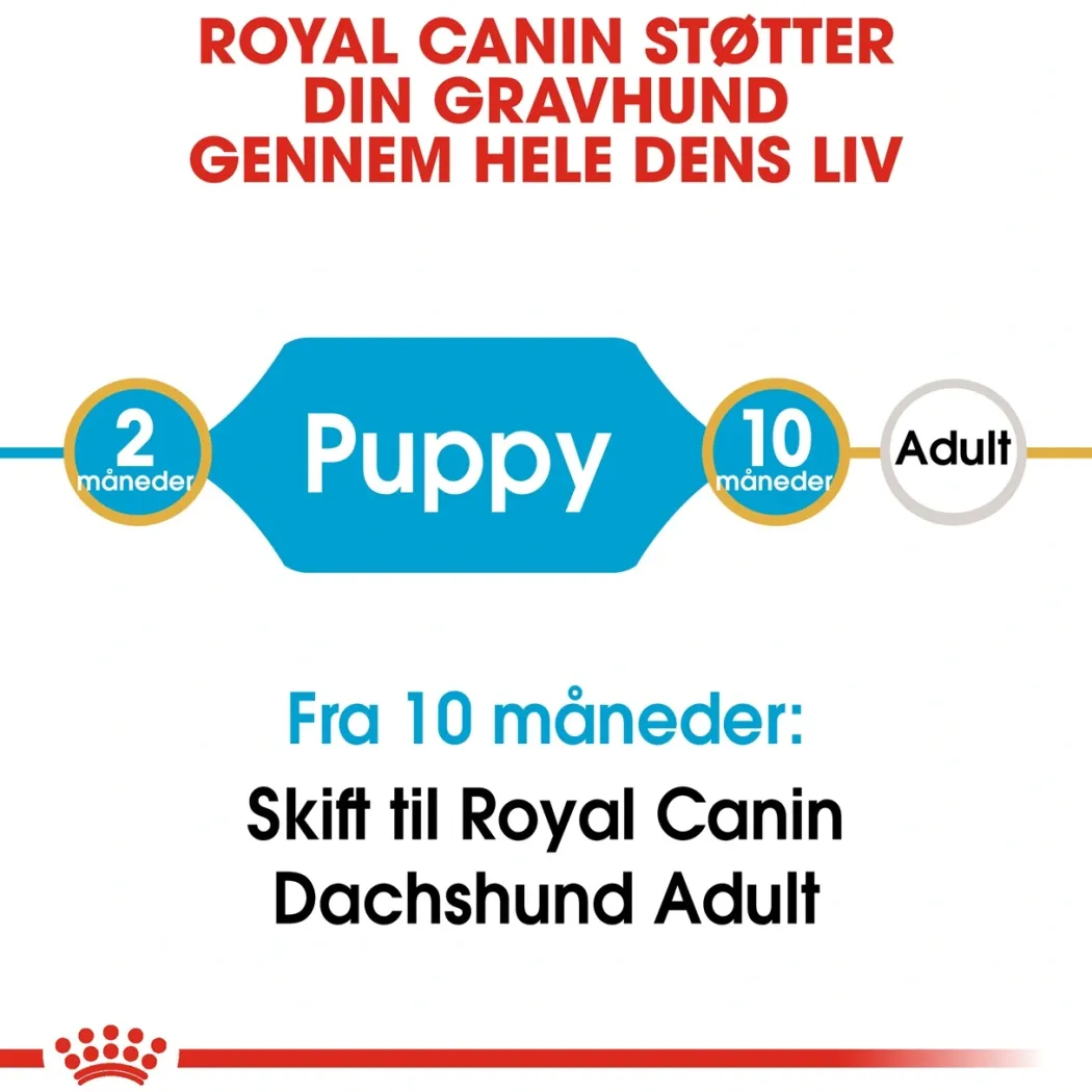 Royal Canin Dachshund Puppy 1,5 kg - tørfoder til Gravhund hvalpe