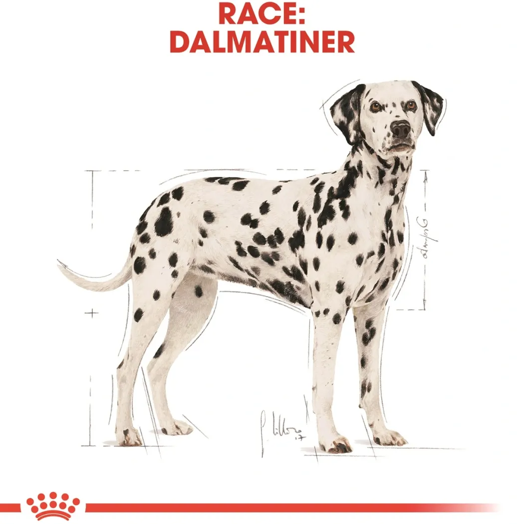 Royal Canin Dalmatian Adult 12 kg - tørfoder til voksne hunde