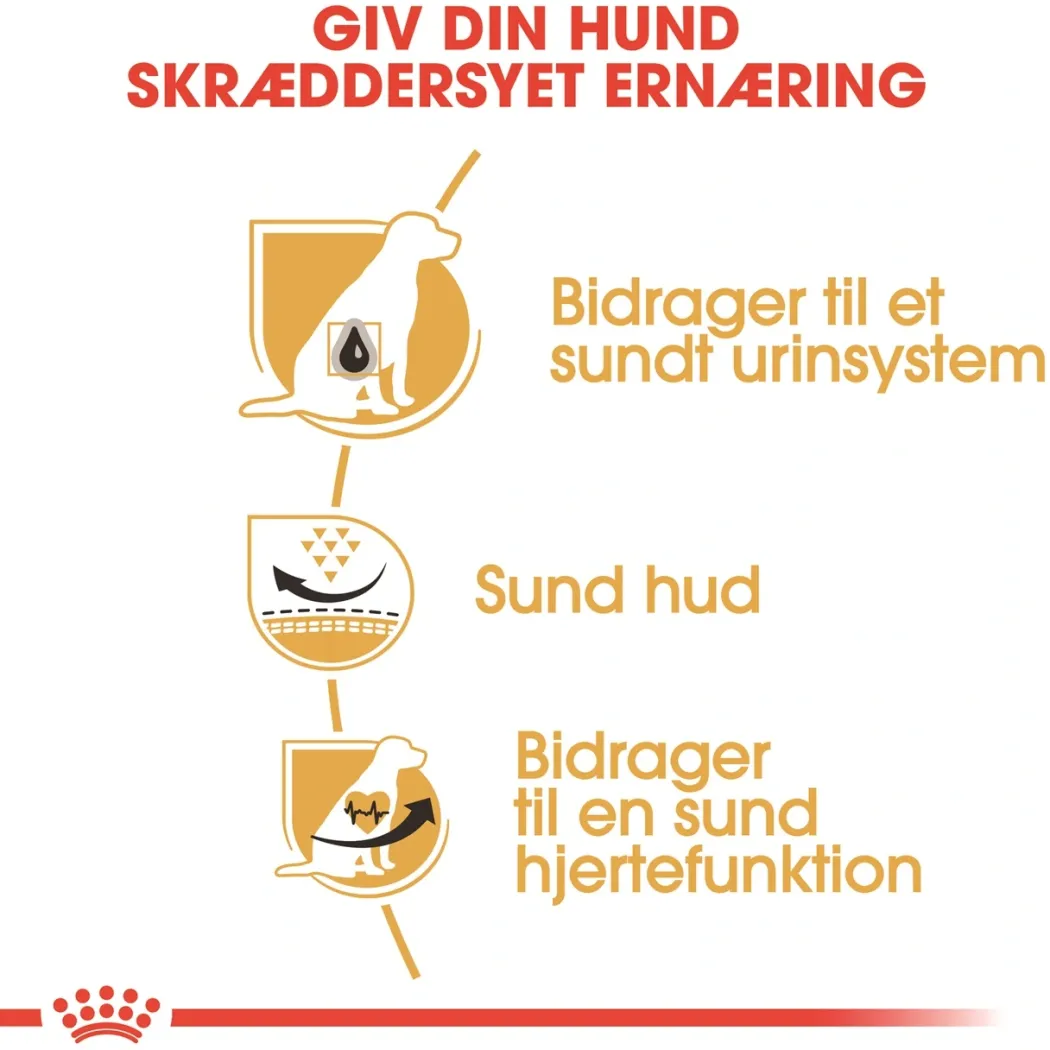 Royal Canin Dalmatian Adult 12 kg - tørfoder til voksne hunde
