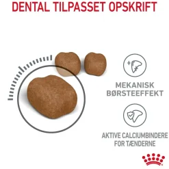 Royal Canin Dental Care 1,5 kg