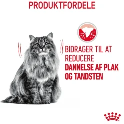 Royal Canin Dental Care 3,5 kg