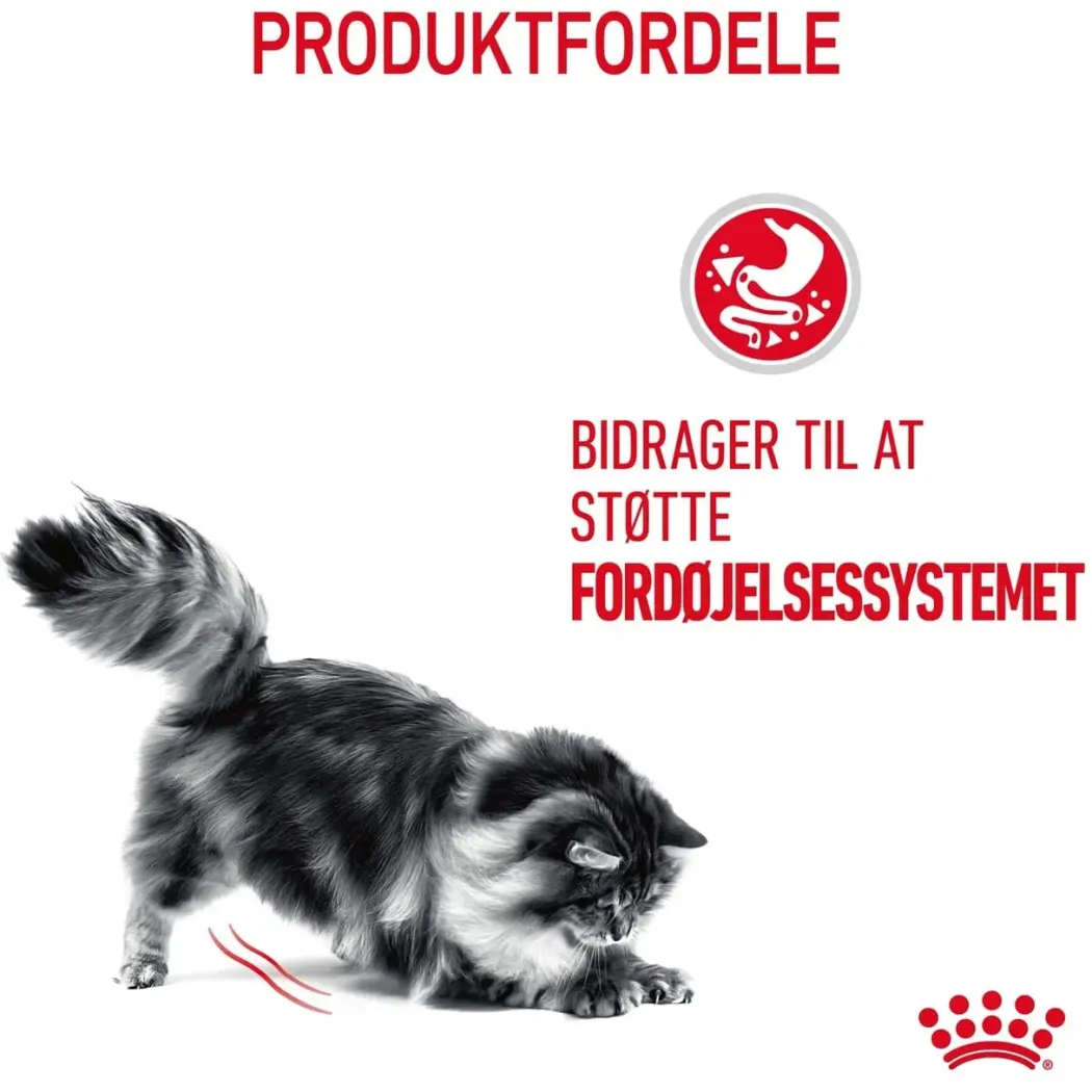 Royal Canin Digestive Care 400 gram