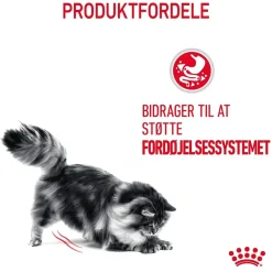 Royal Canin Digestive Care 2 kg