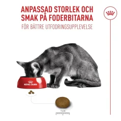 Royal Canin Exigent FHN Fussy 10kg