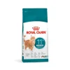 Royal Canin FHN Ageing Sterilised 11+ 4 kg