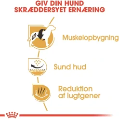 Royal Canin French Bulldog Adult 3 kg - tørfoder til voksne hunde