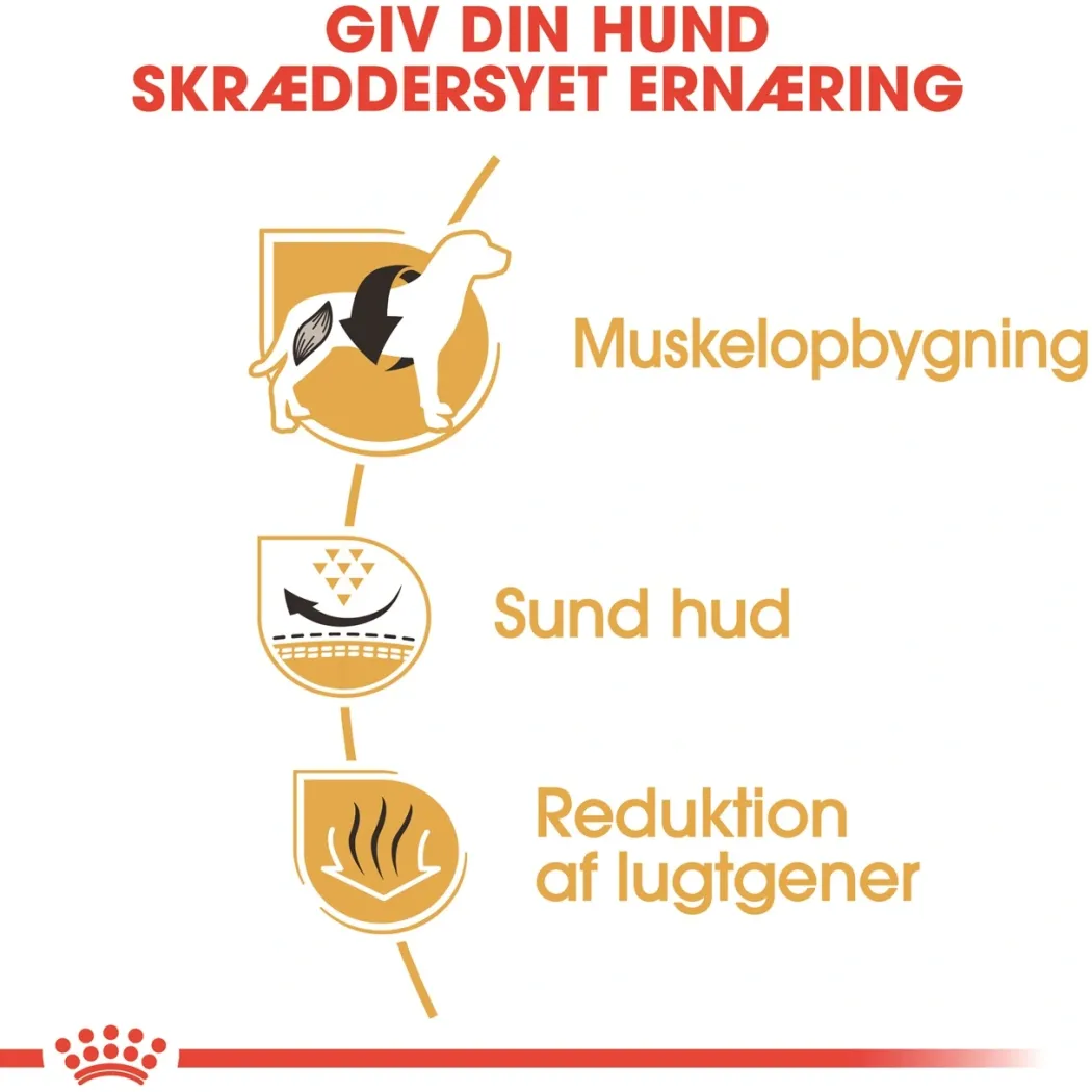 Royal Canin French Bulldog Adult 3 kg - tørfoder til voksne hunde