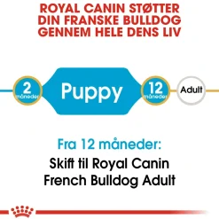 Royal Canin French Bulldog Puppy 3 kg - fuldfoder til hvalpe
