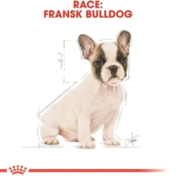Royal Canin French Bulldog Puppy 3 kg - fuldfoder til hvalpe