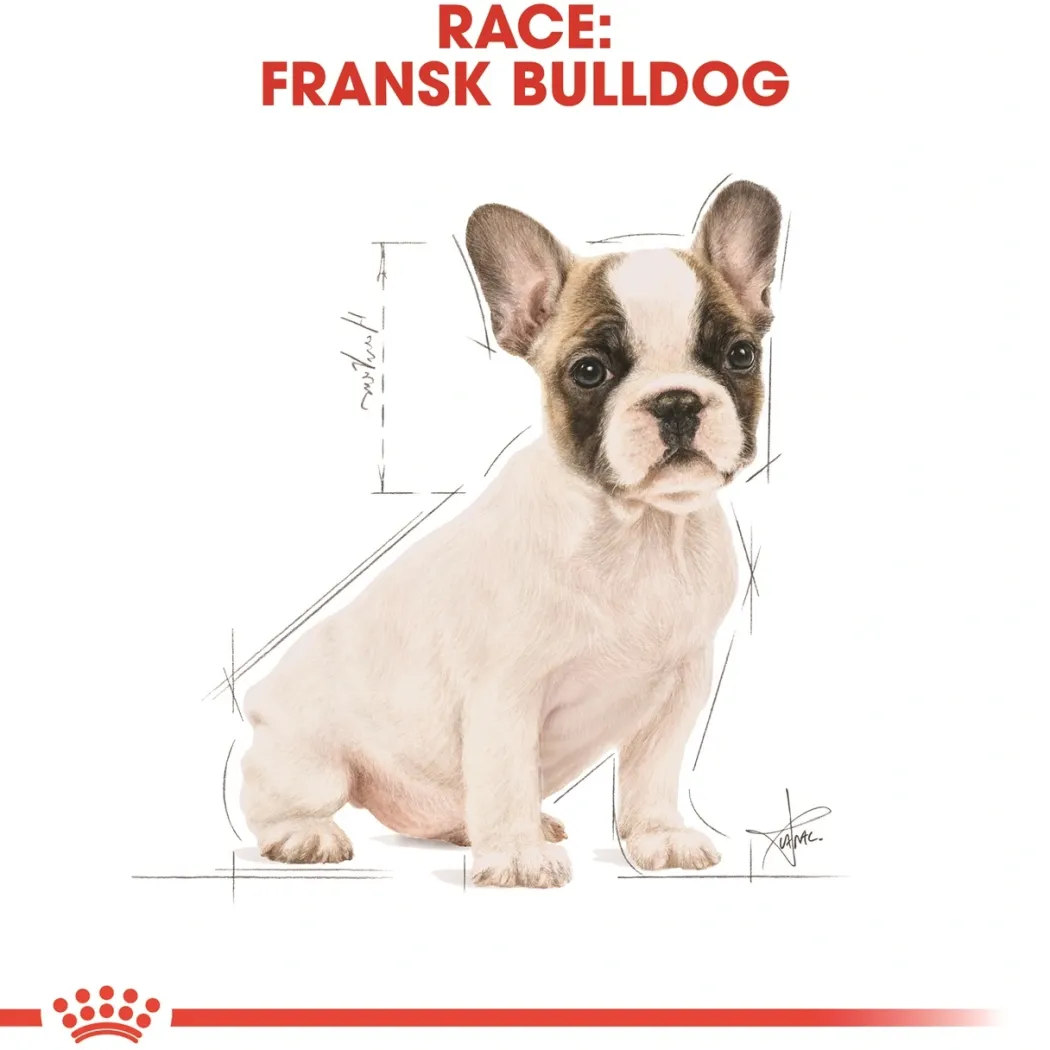 Royal Canin French Bulldog Puppy 3 kg - fuldfoder til hvalpe