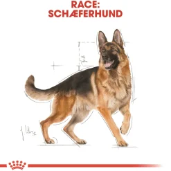 Royal Canin German Shepherd Adult 11 kg - tørfoder til voksne hunde