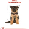 Royal Canin German Shepherd Puppy 12 kg - tørfoder til hvalpe