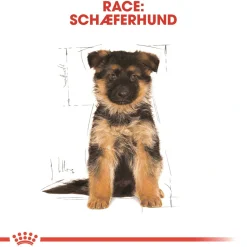 Royal Canin German Shepherd Puppy 12 kg - tørfoder til hvalpe