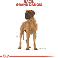 Royal Canin Great Dane Adult 12 kg - tørfoder til voksne hunde