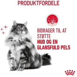 Royal Canin Hair and Skin 10 kg