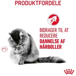 Royal Canin Hairball Care 400 gram
