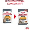 Royal Canin Hair & Skin Jelly - vådfoder 85 g