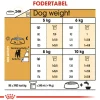 Royal Canin Jack Russell Adult 12 kg - tørfoder til voksne hunde