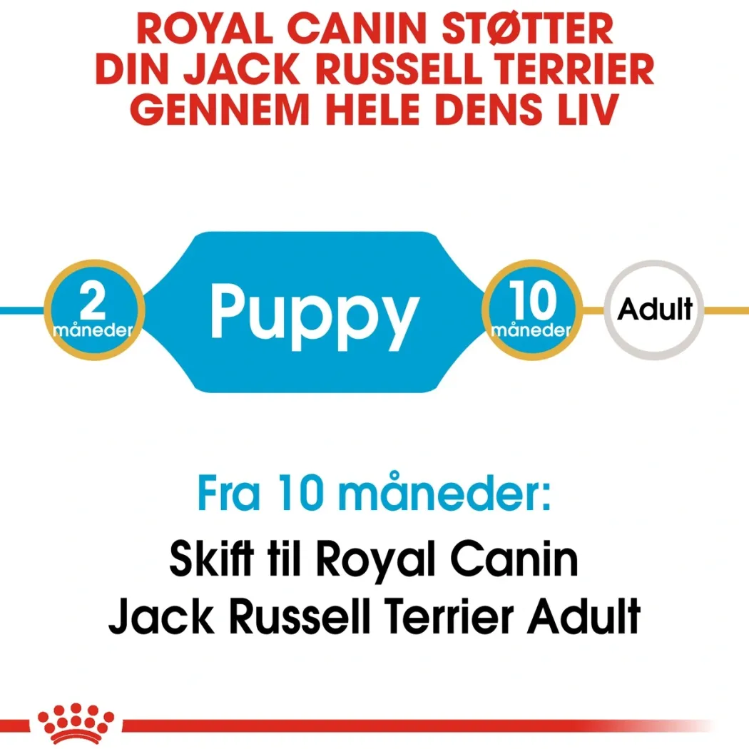 Royal Canin Jack Russell Puppy 1,5 kg - hvalpefoder til energi og vækst