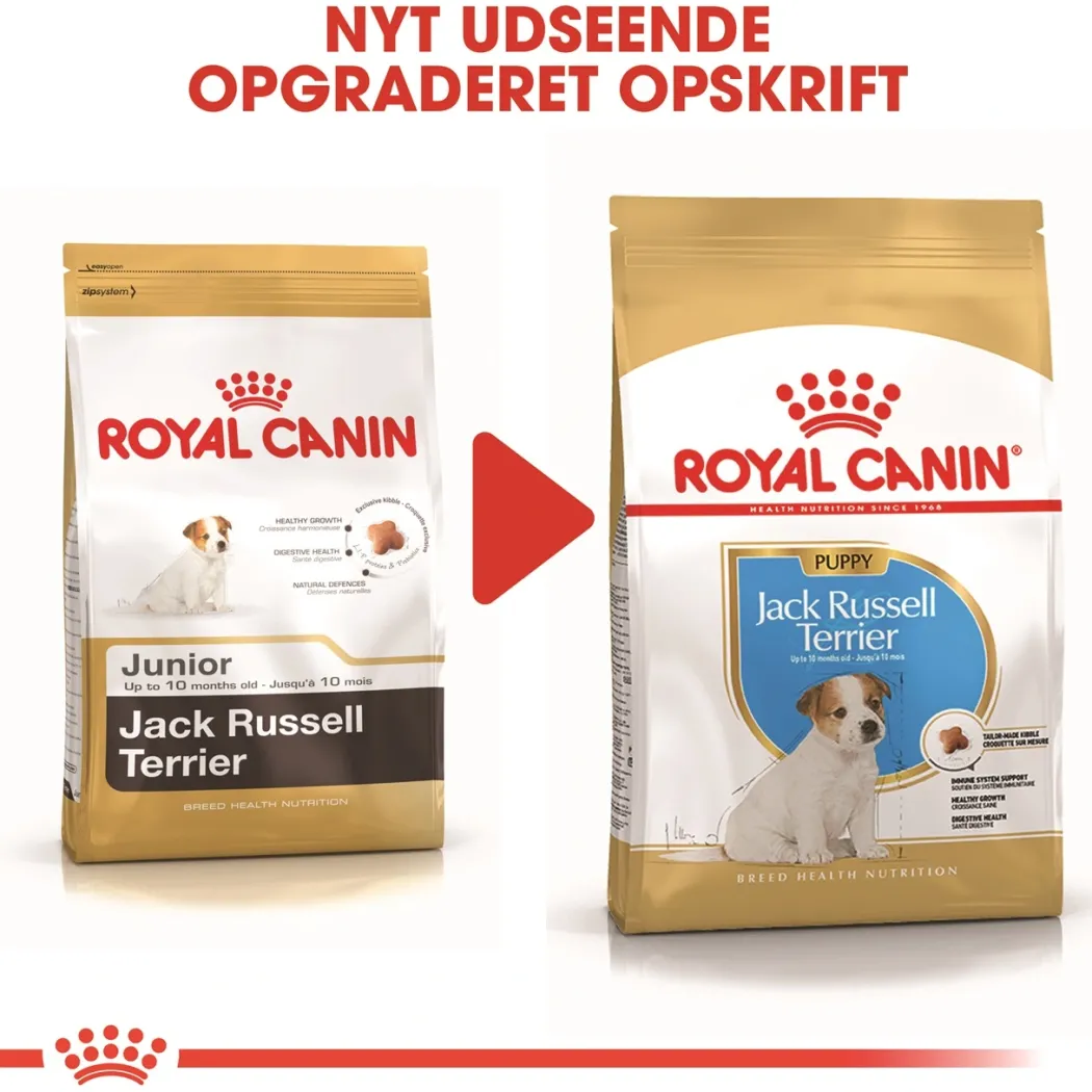 Royal Canin Jack Russell Puppy 1,5 kg - hvalpefoder til energi og vækst