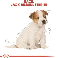 Royal Canin Jack Russell Puppy 1,5 kg - hvalpefoder til energi og vækst