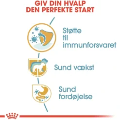 Royal Canin Jack Russell Puppy 1,5 kg - hvalpefoder til energi og vækst
