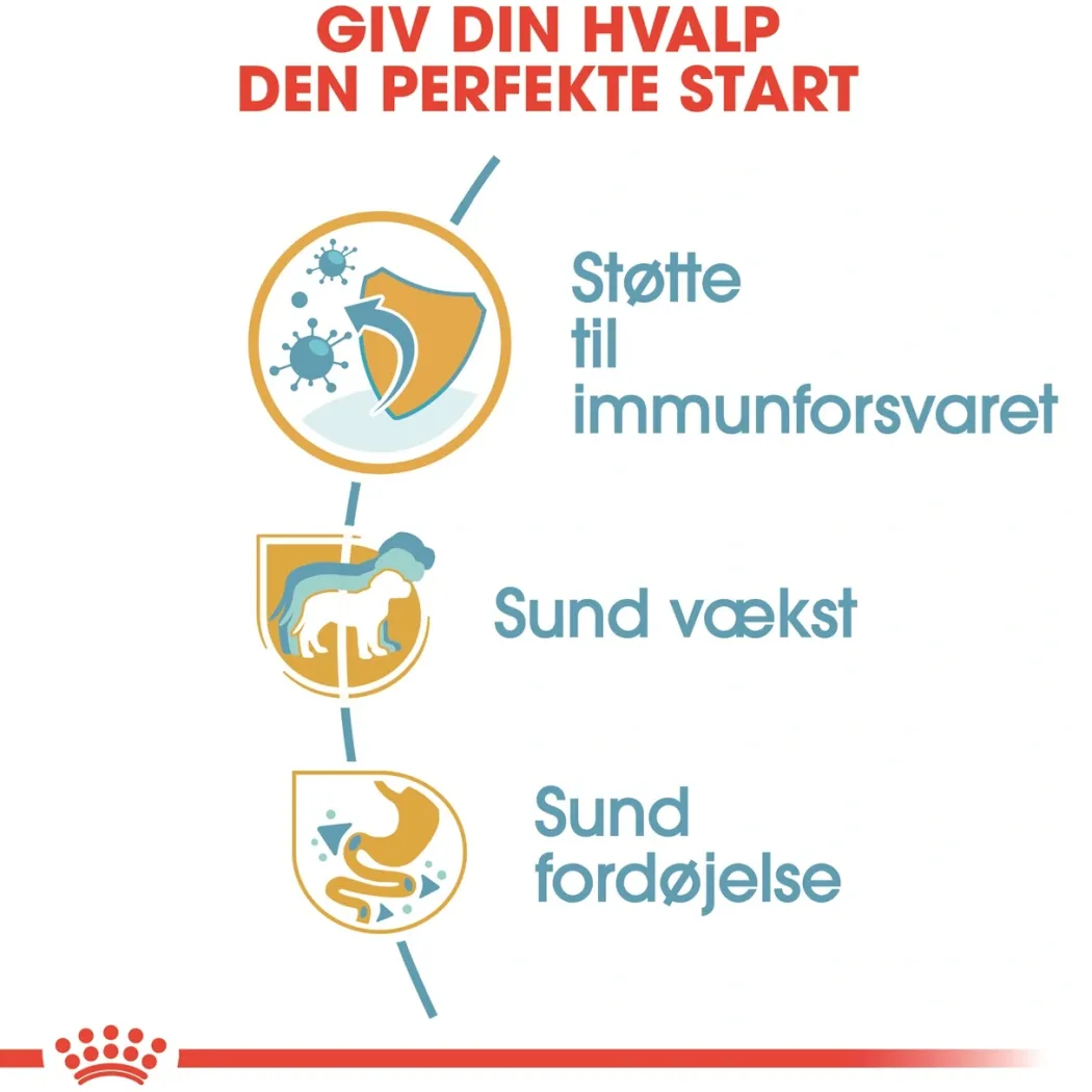 Royal Canin Jack Russell Puppy 1,5 kg - hvalpefoder til energi og vækst