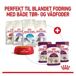 Royal Canin Kattevådmad Sensory Smell Sovs Adult