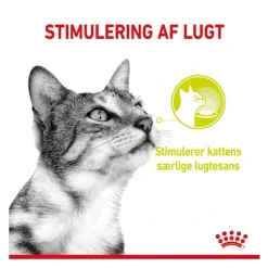 Royal Canin Kattevådmad Sensory Smell Sovs Adult